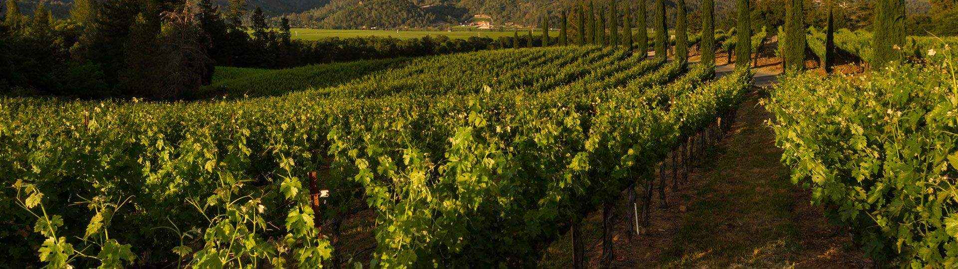 Aurora Park Cottages, Calistoga - Wineries